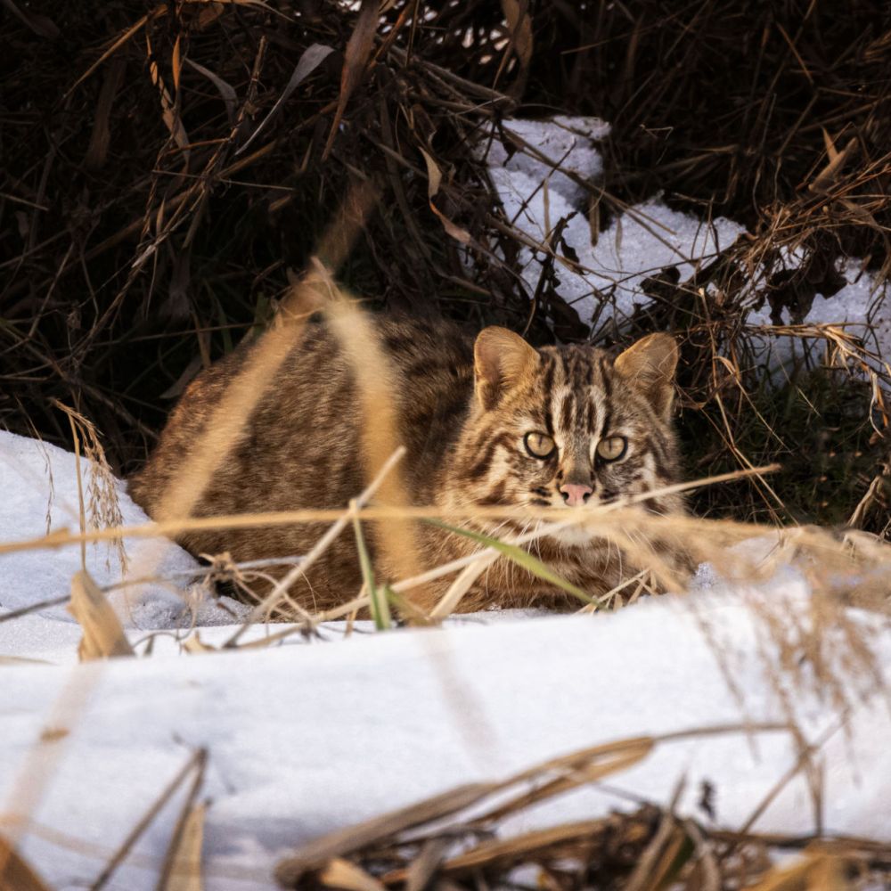 생태동물갤러리